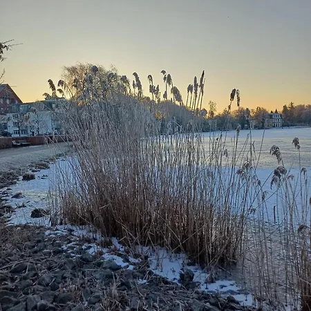 Renate 3 Heringsdorf